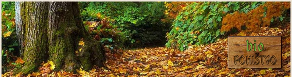 bio pohištvo